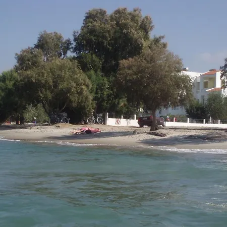 Byron Τιγκάκι