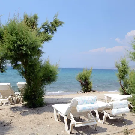 Byron * Tigkaki (Kos)